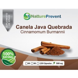 Canela de Java Quebrada 500mg - Suplemento Alimentar 100% Natural