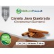 Canela de Java Quebrada 500mg - Suplemento Alimentar 100% Natural
