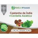 Castanha da Índia + Centella Asiática 500mg - Suplemento Alimentar 100% Natural