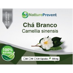 Chá Branco 500mg - Suplemento Alimentar 100% Natural