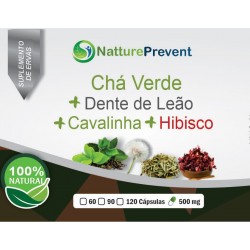 Chá Verde + Dente De Leão + Cavalinha + Hibisco 500mg