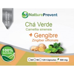Chá Verde com Gengibre 500 mg