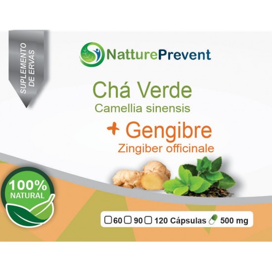 Chá Verde com Gengibre 500 mg