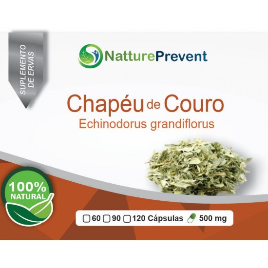 Chapéu de Couro 500 mg