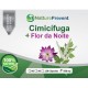 Cimicífuga (Erva de São Cristóvão) + Flor da Noite 500mg - Suplemento Alimentar 100% Natural