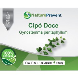 Cipó Doce (Ginseng do Sul, Erva Milagrosa)