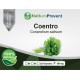 Coentro 500mg - Suplemento Alimentar 100% Natural